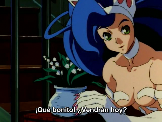 Vampire Hunter (Anime Seiden)